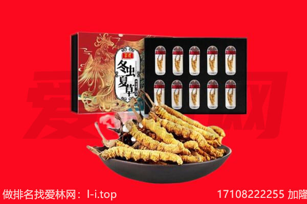 零陵区回收虫草.jpg